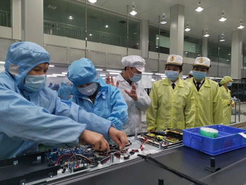 一季度江門(mén)外貿(mào)量質(zhì)齊增 口岸營(yíng)商環(huán)境優(yōu)化與新材料技術(shù)推廣服務(wù)激發(fā)新活力